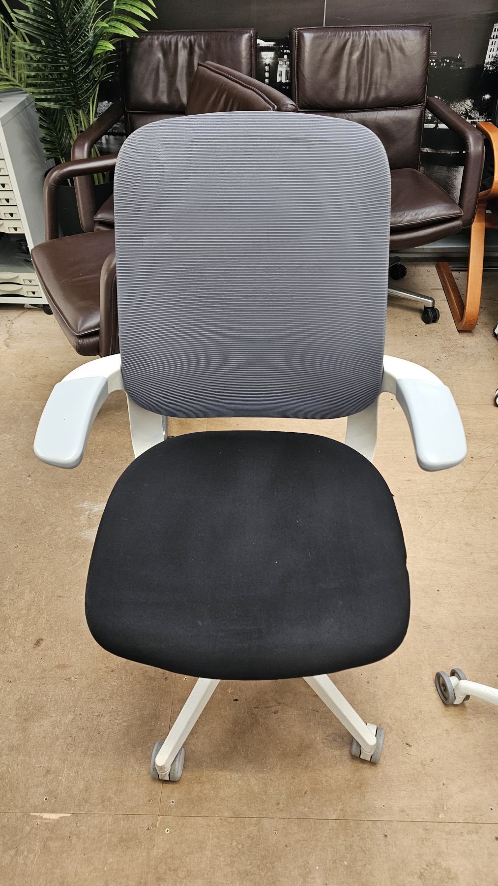 Techo sidiz flight white efition swivel chair